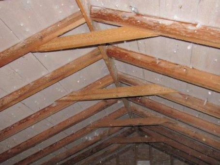 , Is My Roof Leaking, Or Is This Condensation?