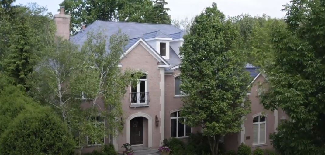 , Synthetic-Davinci-Detail-NEW-a