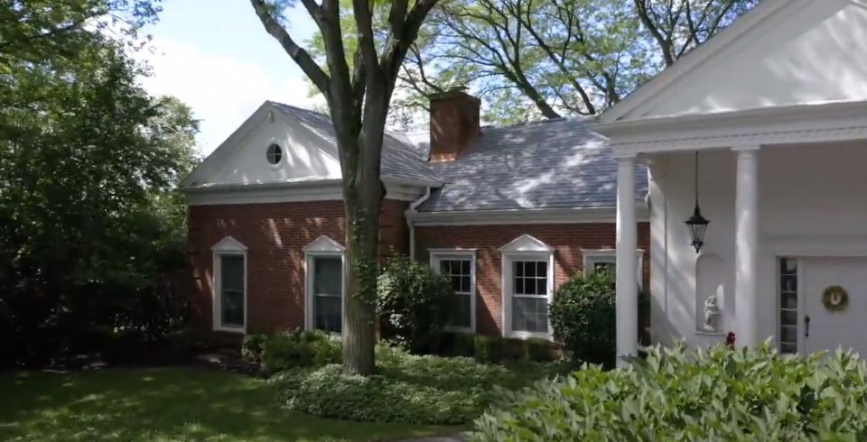 , Synthetic-Davinci-Detail-NEW-a