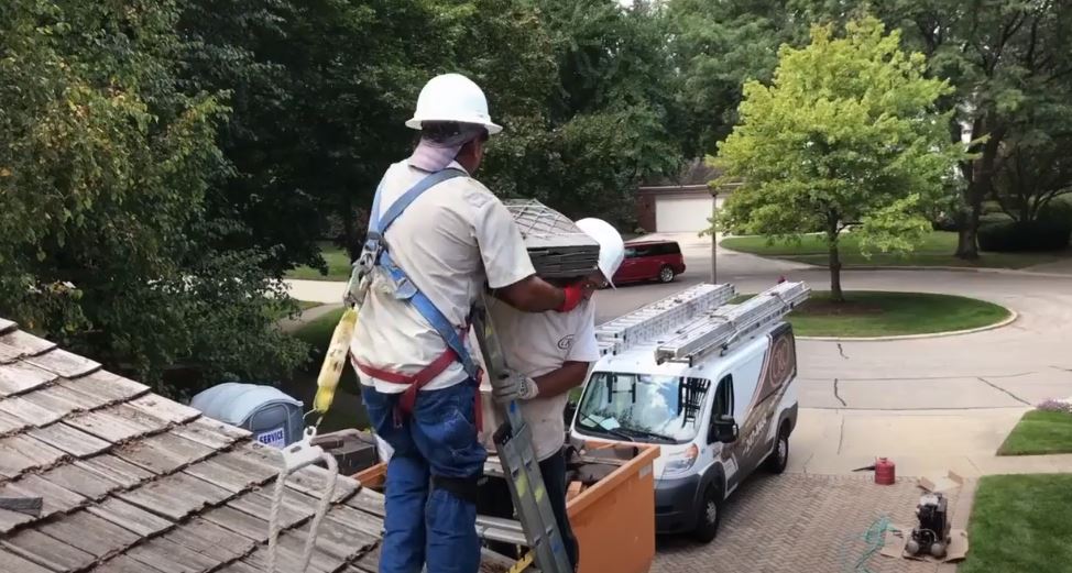 , Synthetic-Brava-Detail-NEW