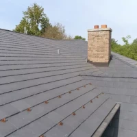 , Synthetic-Davinci-Detail-NEW-a