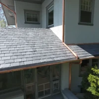 , Synthetic-Davinci-Detail-NEW-a