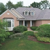 , Synthetic-Davinci-Detail-NEW-a