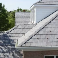 , Synthetic-Davinci-Detail-NEW-a