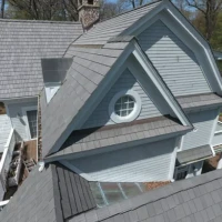 , Synthetic-Davinci-Detail-NEW-a