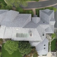 , Synthetic-Davinci-Detail-NEW-a