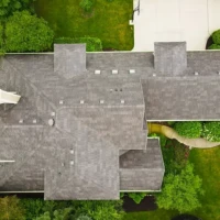 , Synthetic-Davinci-Detail-NEW-a