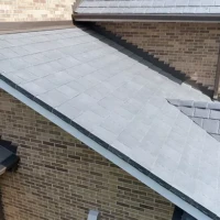 , Synthetic-Davinci-Detail-NEW-a