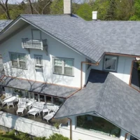 , Synthetic-Davinci-Detail-NEW-a