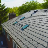 , Synthetic-Davinci-Detail-NEW-a