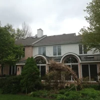 Asphalt Shingles, Asphalt