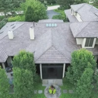 , Synthetic-Davinci-Detail-NEW-a