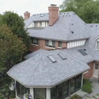 , Synthetic-Davinci-Detail-NEW-a