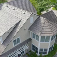 , Synthetic-Davinci-Detail-NEW-a