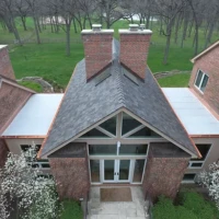 , Synthetic-Davinci-Detail-NEW-a