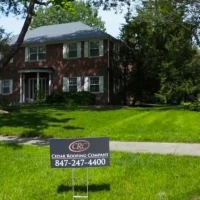 , Synthetic-Davinci-Detail-NEW-a