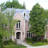 , Synthetic-Davinci-Detail-NEW-a