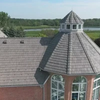 , Synthetic-Davinci-Detail-NEW-a