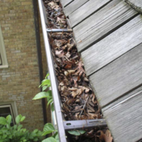 Leaves in Gutters